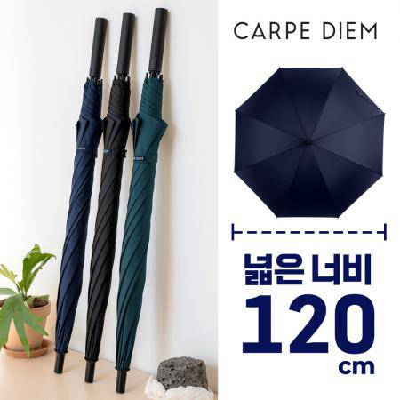 카르페디엠 베이직 70 장우산